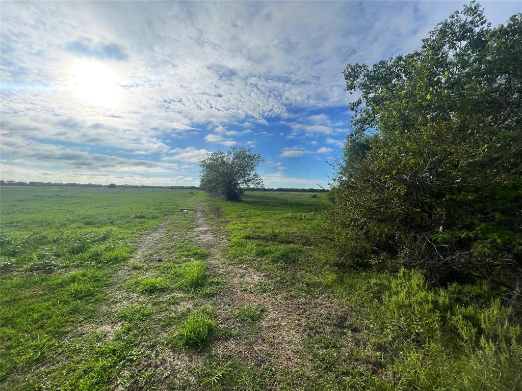 TRACT 4 County Road 25  , Damon, Texas image 5