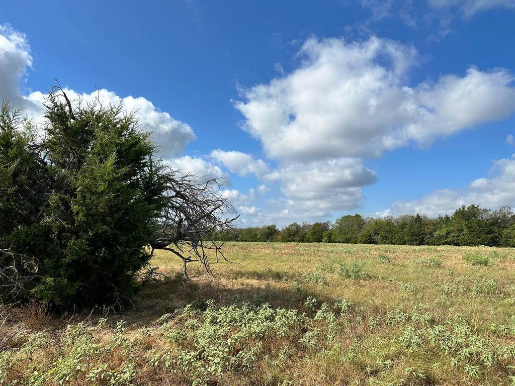 10AC Cr 930  , Teague, Texas image 6