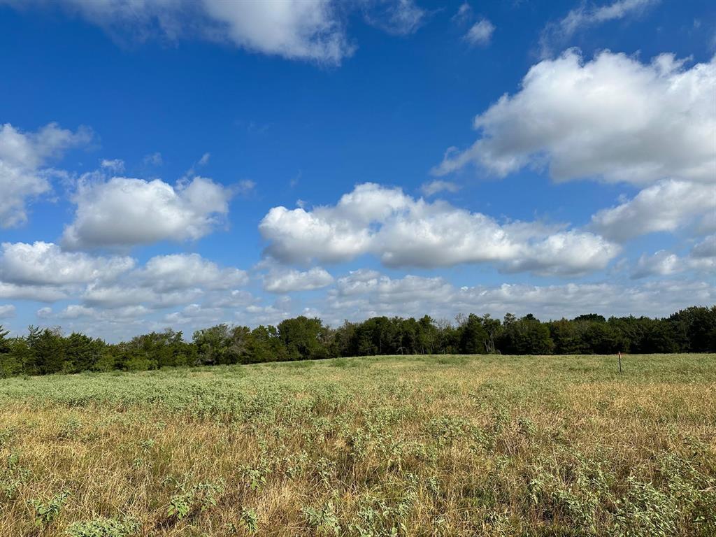 10AC Cr 930  , Teague, Texas image 7