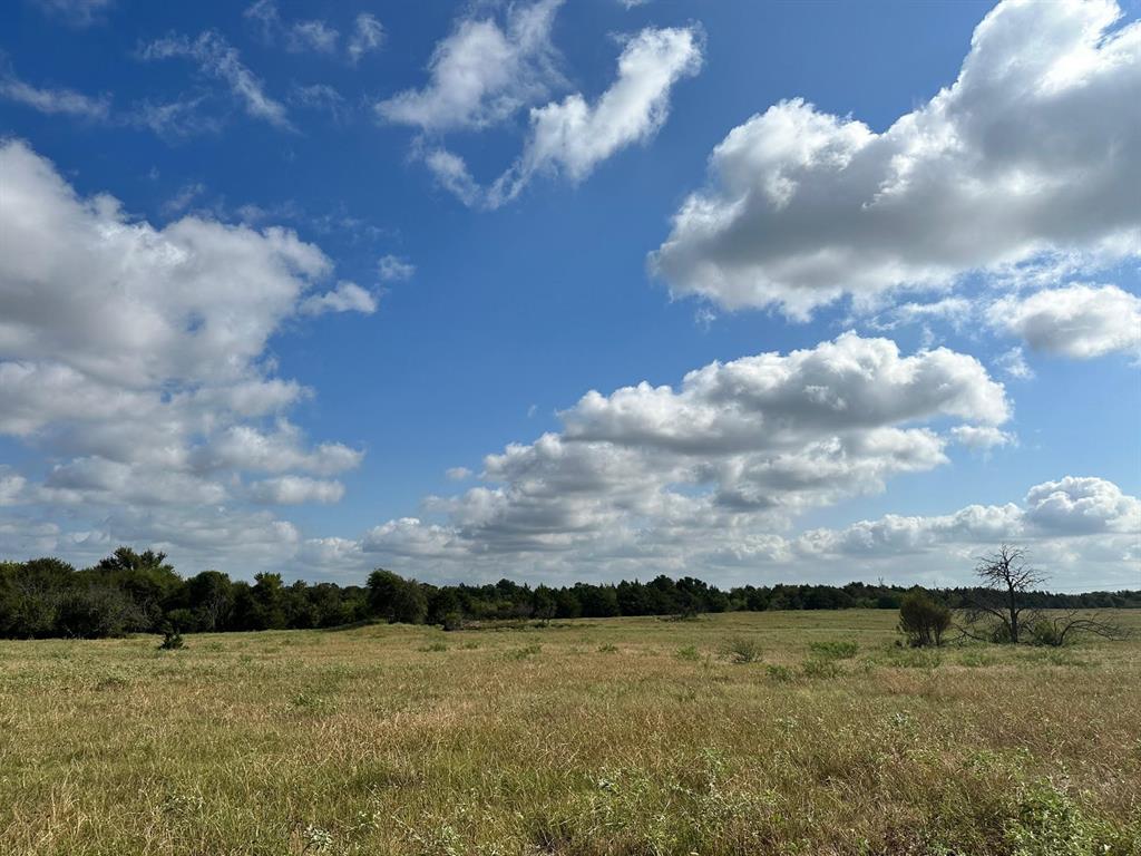 10AC Cr 930  , Teague, Texas image 8