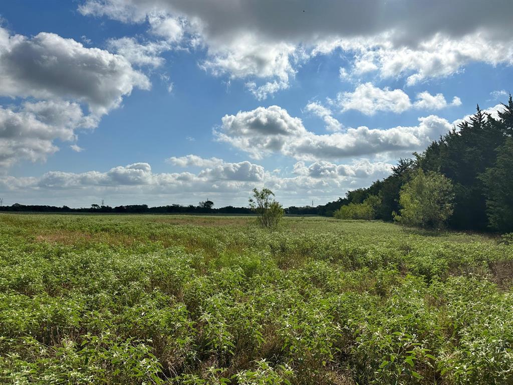 10AC Cr 930  , Teague, Texas image 9