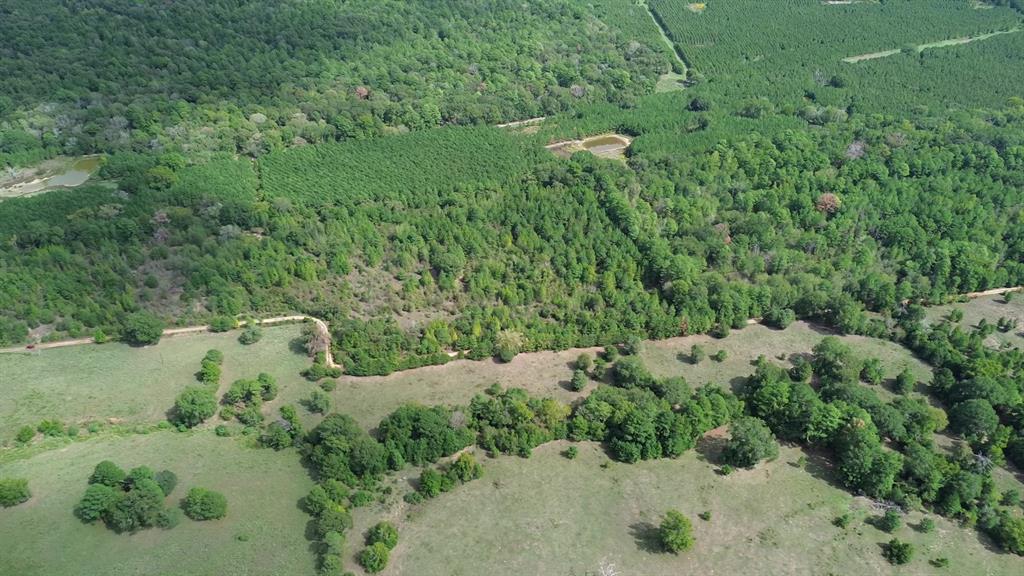 AB 77 Co Rd 1675  , Grapeland, Texas image 11