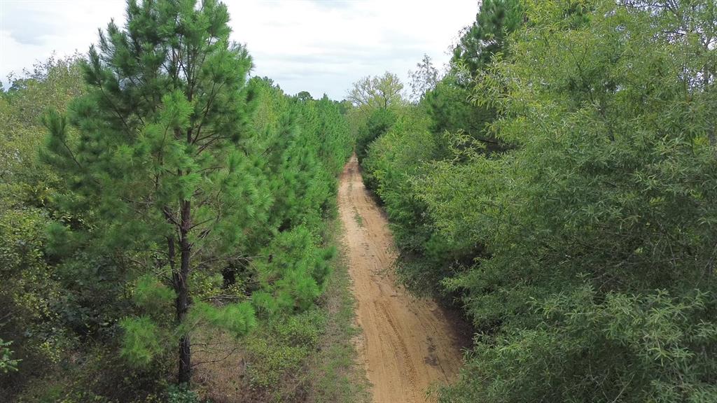 AB 77 Co Rd 1675  , Grapeland, Texas image 13