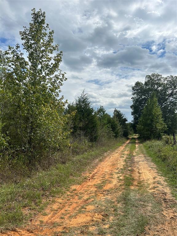 AB 77 Co Rd 1675  , Grapeland, Texas image 15