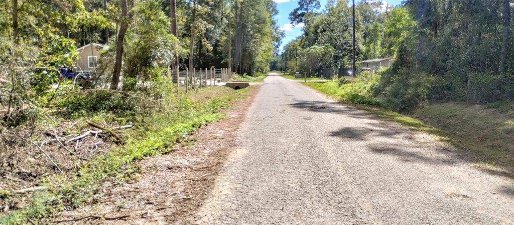 Forest Drive , Shepherd, Texas image 7