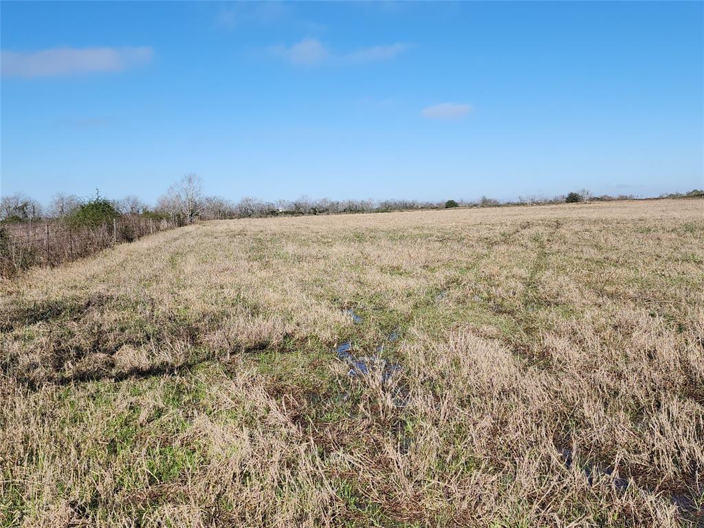 County Road 248  , East Bernard, Texas image 15