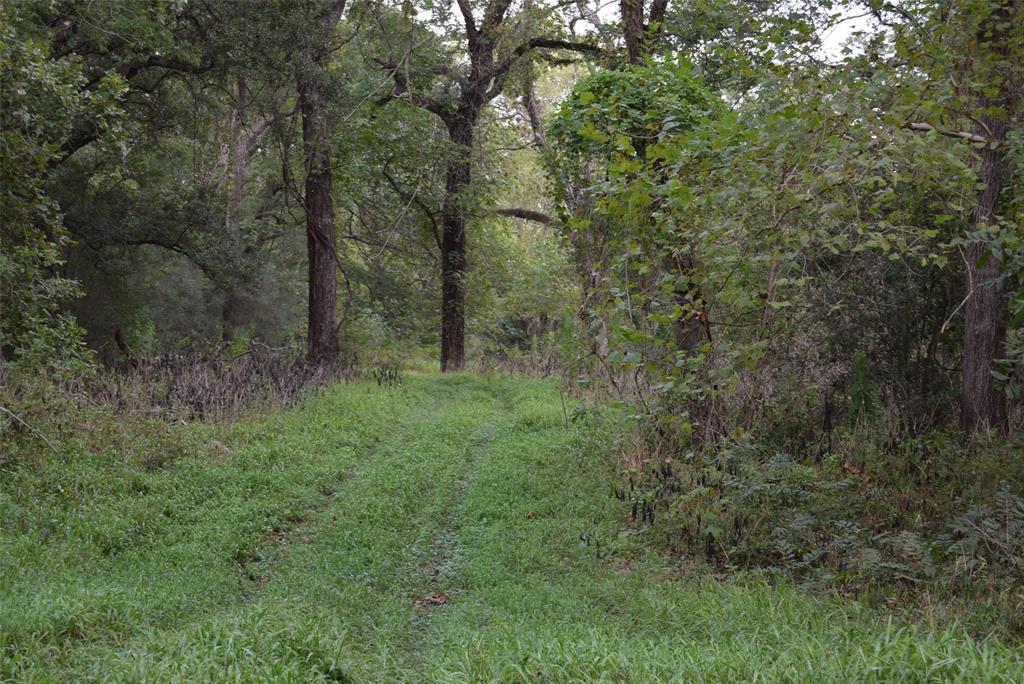 00 Lake View Road , Damon, Texas image 14