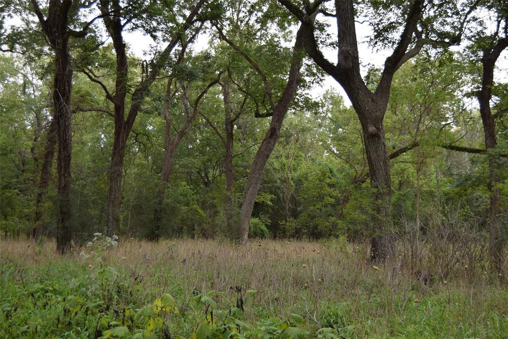 Areas have been cleared, mowed and not mowed for a diverse animal habitat as part of the Wildlife Ag Exemption.