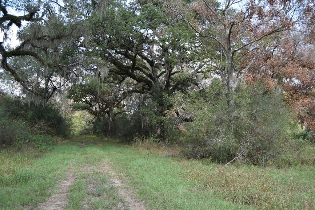 00 Lake View Road , Damon, Texas image 16