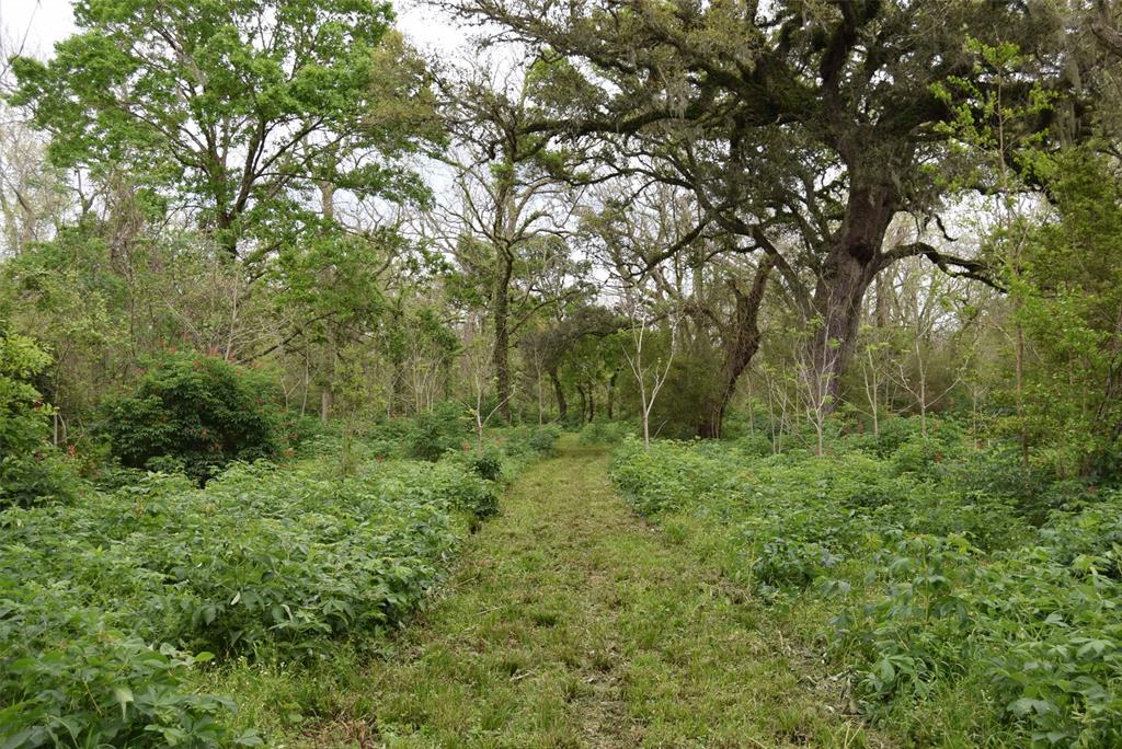 00 Lake View Road , Damon, Texas image 33