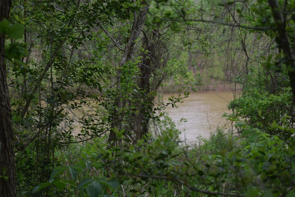 00 Lake View Road , Damon, Texas image 40