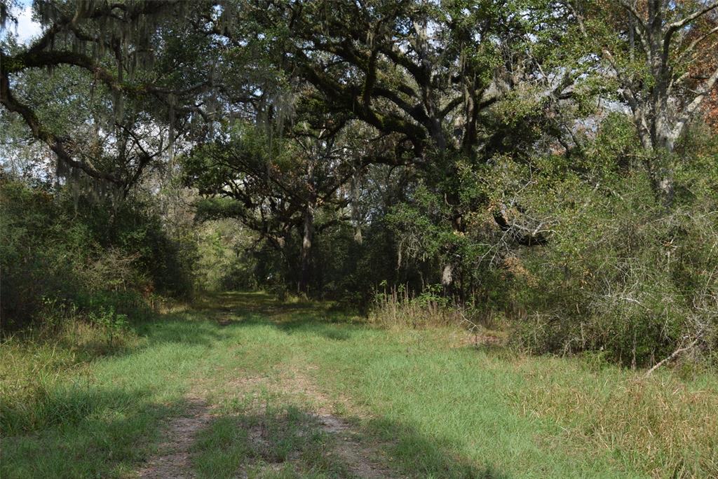 00 Lake View Road , Damon, Texas image 8