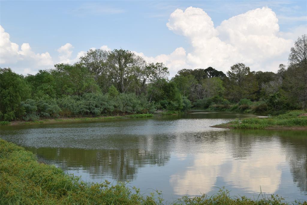 Lake View Road , Damon, Texas image 6