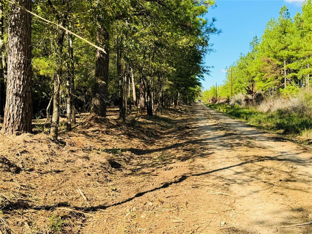 Lot 3 County Rd 4025