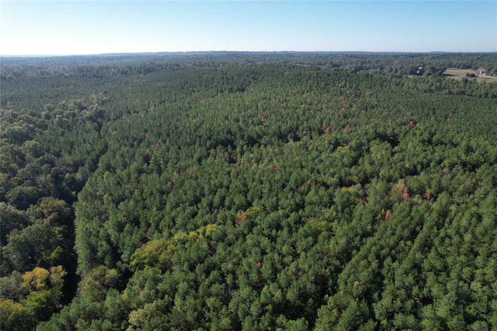 TBD Fenley Flat Road  , Lufkin, Texas image 11