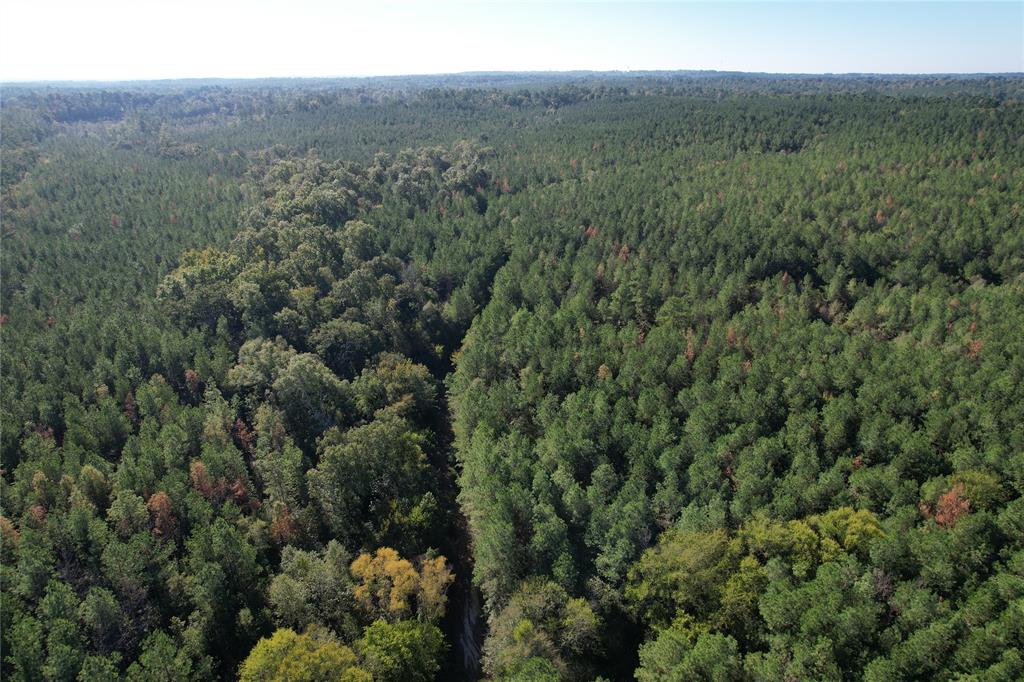 TBD Fenley Flat Road  , Lufkin, Texas image 12