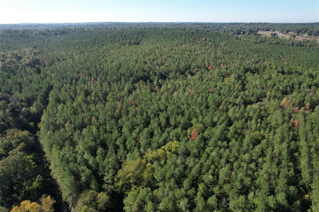 TBD Fenley Flat Road  , Lufkin, Texas image 13