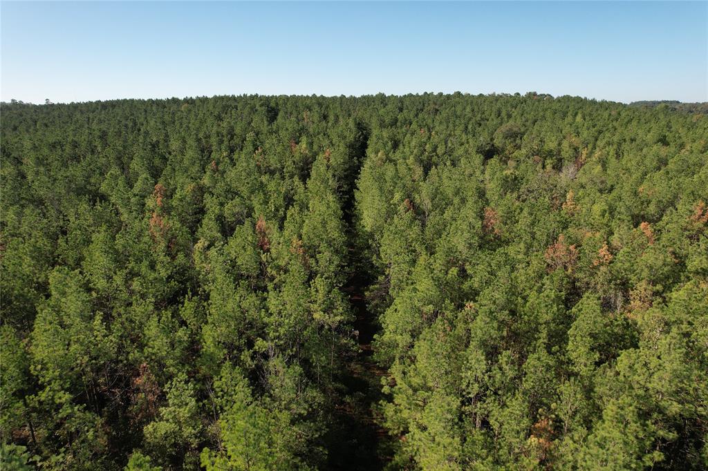 TBD Fenley Flat Road  , Lufkin, Texas image 14