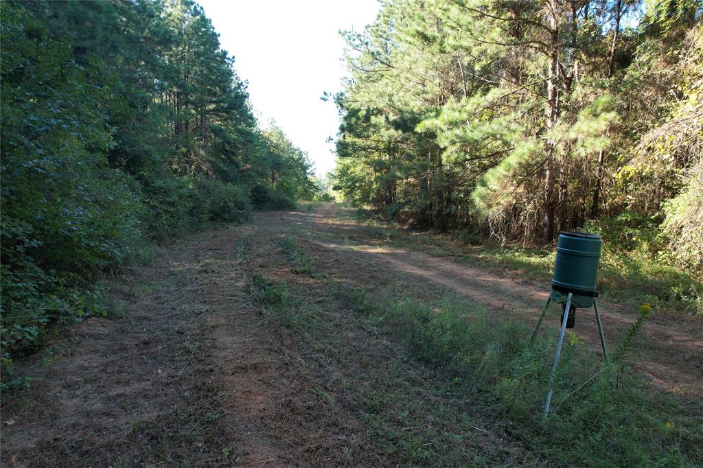 TBD Fenley Flat Road  , Lufkin, Texas image 15