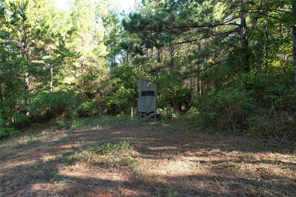 TBD Fenley Flat Road  , Lufkin, Texas image 16