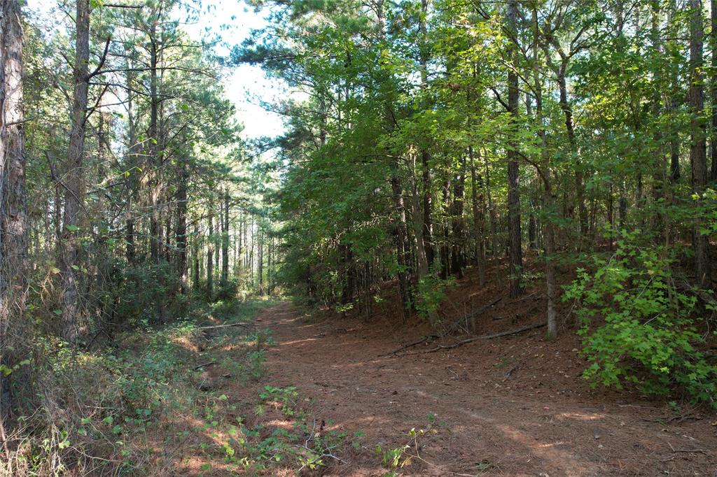 TBD Fenley Flat Road  , Lufkin, Texas image 17