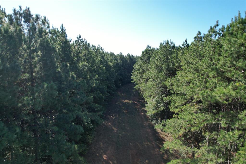 TBD Fenley Flat Road  , Lufkin, Texas image 18