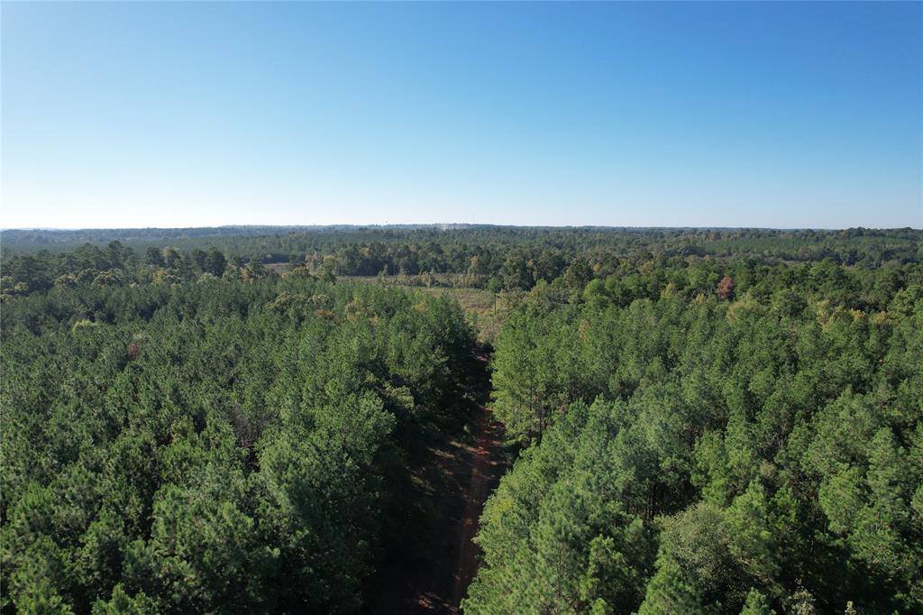 TBD Fenley Flat Road  , Lufkin, Texas image 19