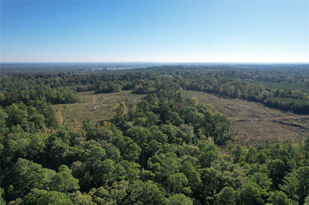 TBD Fenley Flat Road  , Lufkin, Texas image 20