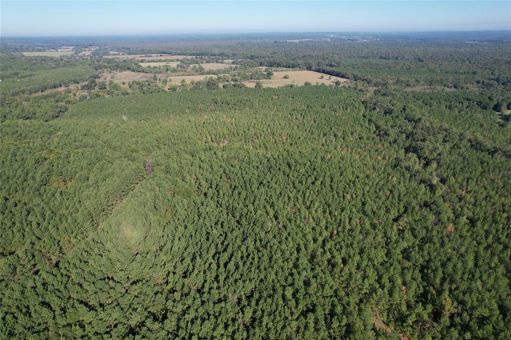 TBD Fenley Flat Road  , Lufkin, Texas image 21