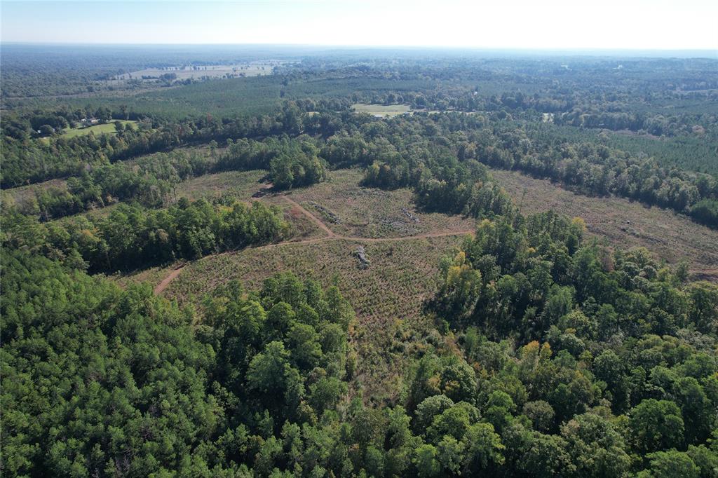 TBD Fenley Flat Road  , Lufkin, Texas image 22