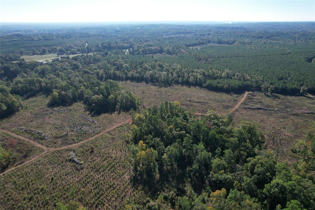 TBD Fenley Flat Road  , Lufkin, Texas image 23