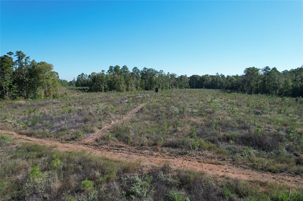 TBD Fenley Flat Road  , Lufkin, Texas image 24