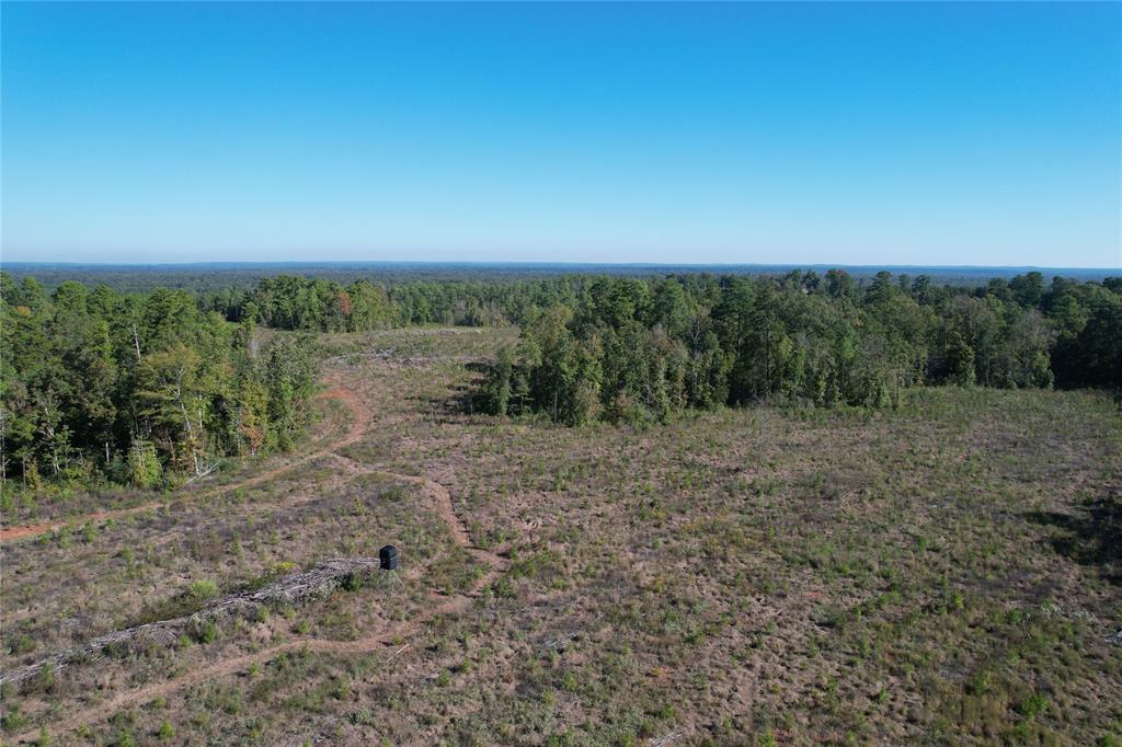 TBD Fenley Flat Road  , Lufkin, Texas image 25