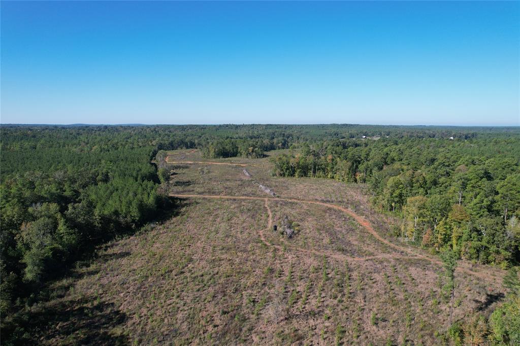 TBD Fenley Flat Road  , Lufkin, Texas image 26