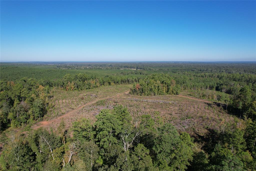 TBD Fenley Flat Road  , Lufkin, Texas image 27