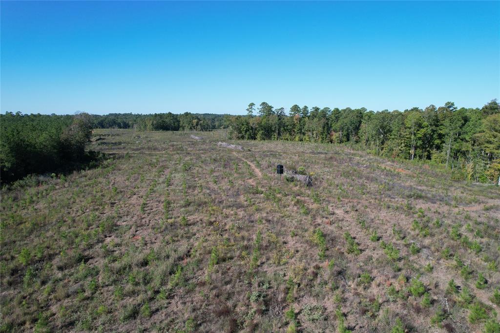 TBD Fenley Flat Road  , Lufkin, Texas image 28