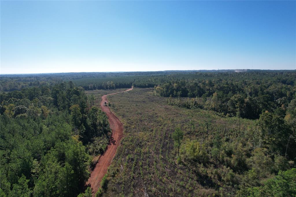 TBD Fenley Flat Road  , Lufkin, Texas image 4