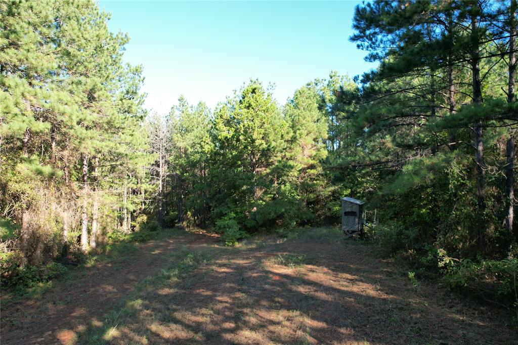 TBD Fenley Flat Road  , Lufkin, Texas image 5