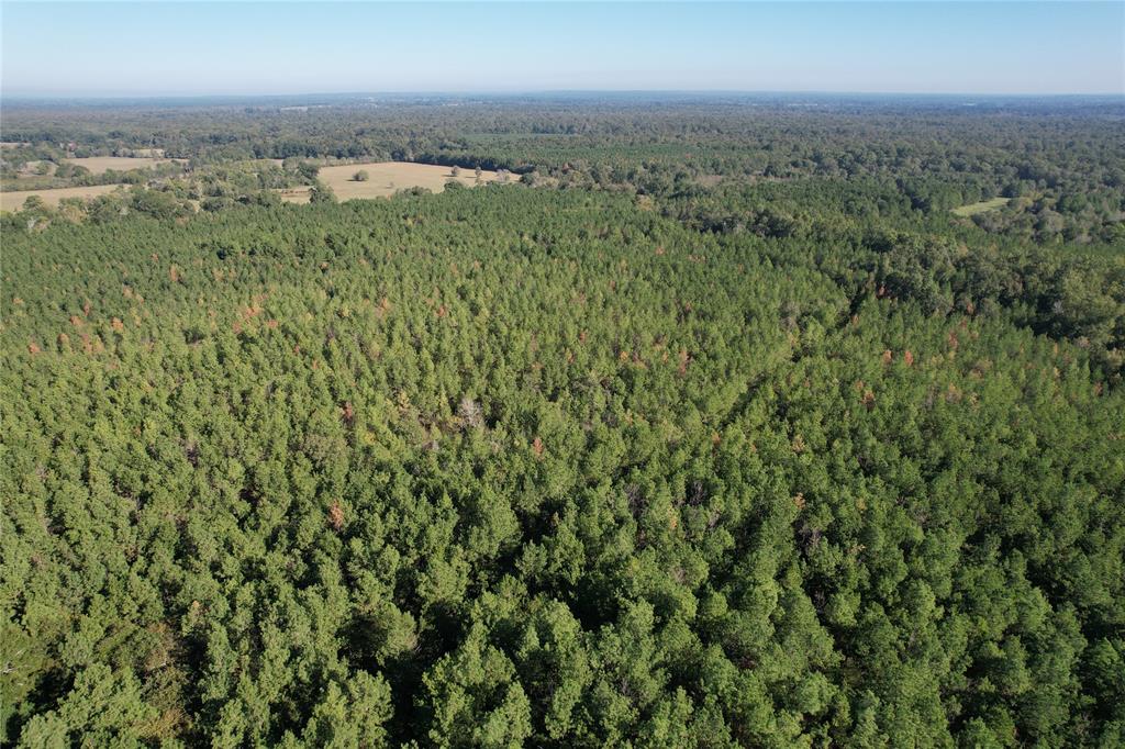 TBD Fenley Flat Road  , Lufkin, Texas image 6