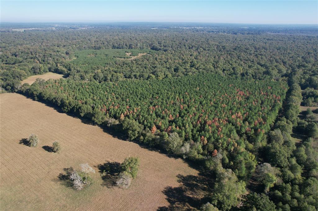 TBD Fenley Flat Road  , Lufkin, Texas image 7