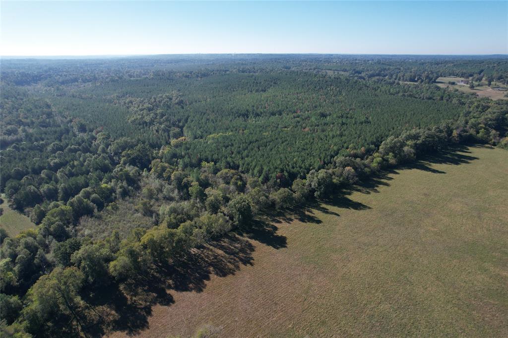 TBD Fenley Flat Road  , Lufkin, Texas image 9