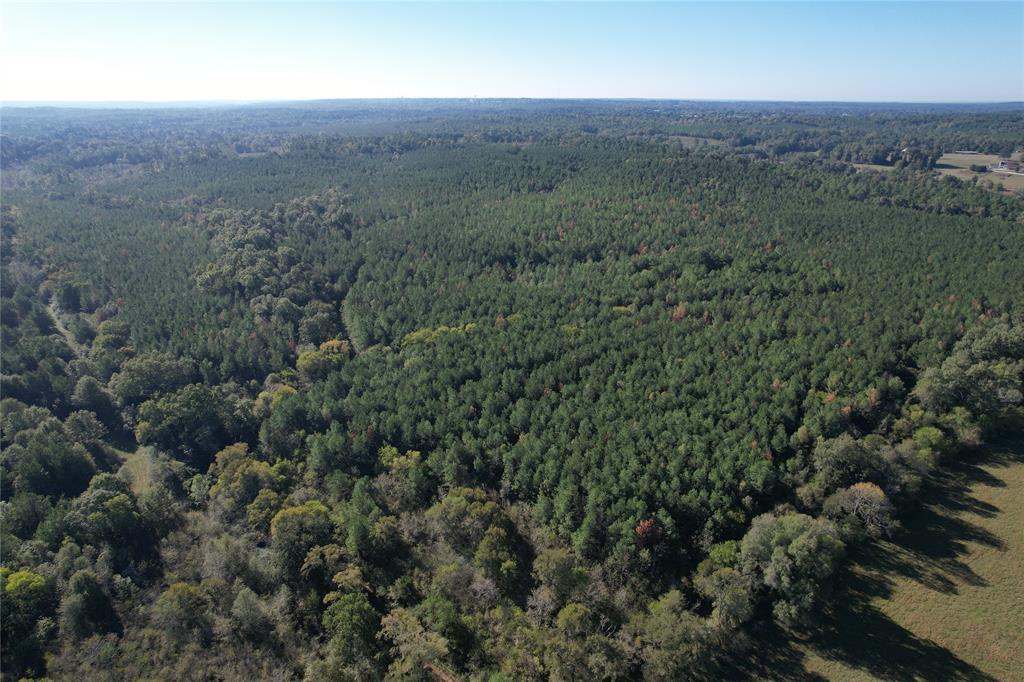 TBD Fenley Flat Road  , Lufkin, Texas image 10