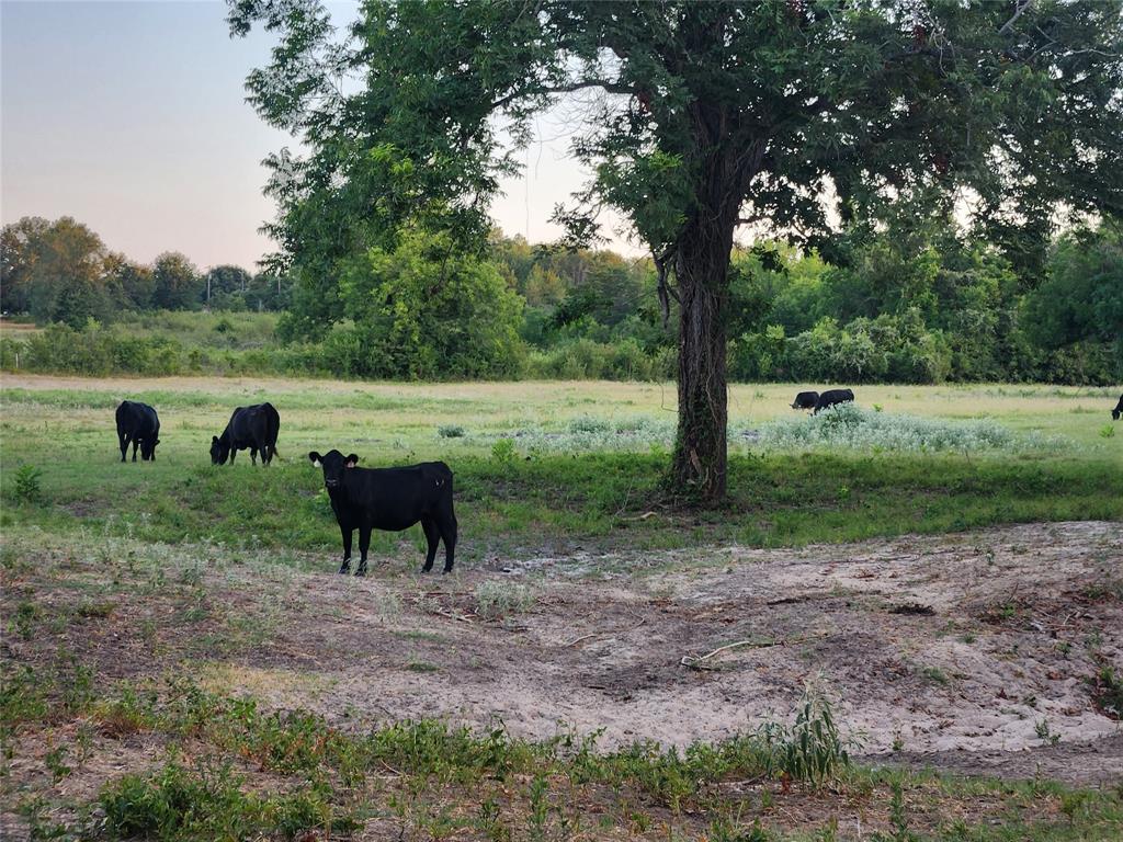 Tbd Sweed Lot 7 Road , Washington, Texas image 7