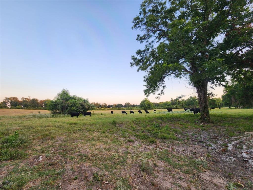 Tbd Sweed Lot 7 Road , Washington, Texas image 8