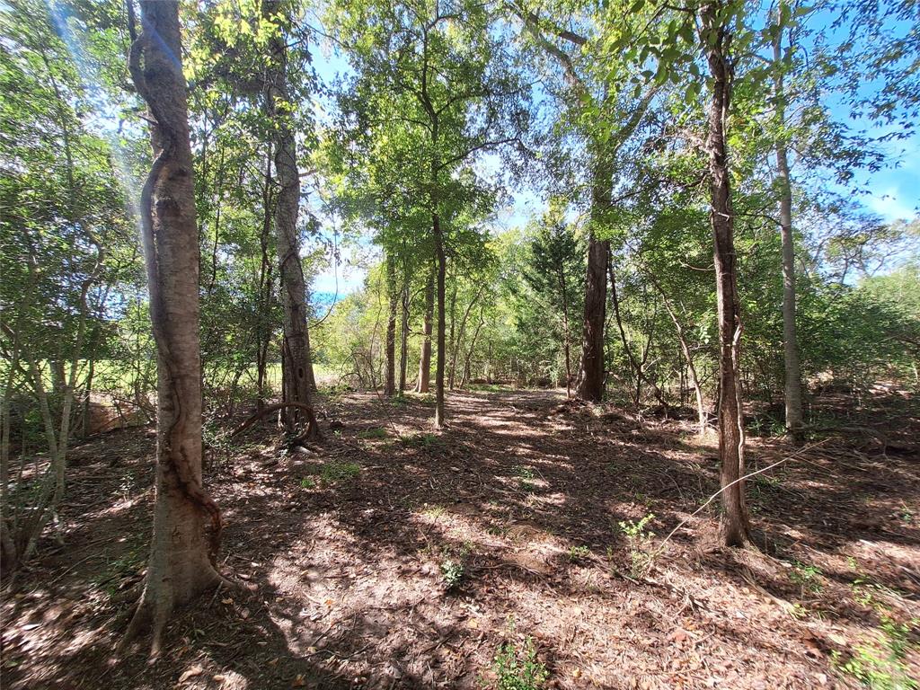 Tbd Sweed Lot 7 Road , Washington, Texas image 9