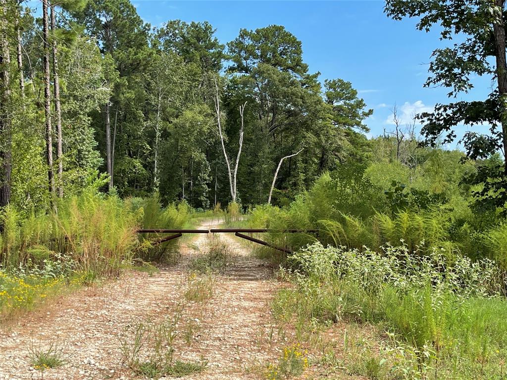 10-22-98 Granite Road , Huntsville, Texas image 7