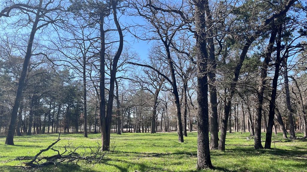 Serene wooded area perfect for ATVs and nature walks.