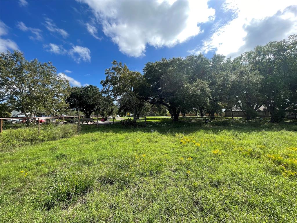 Your Shade Trees Are All Ready On The Property.