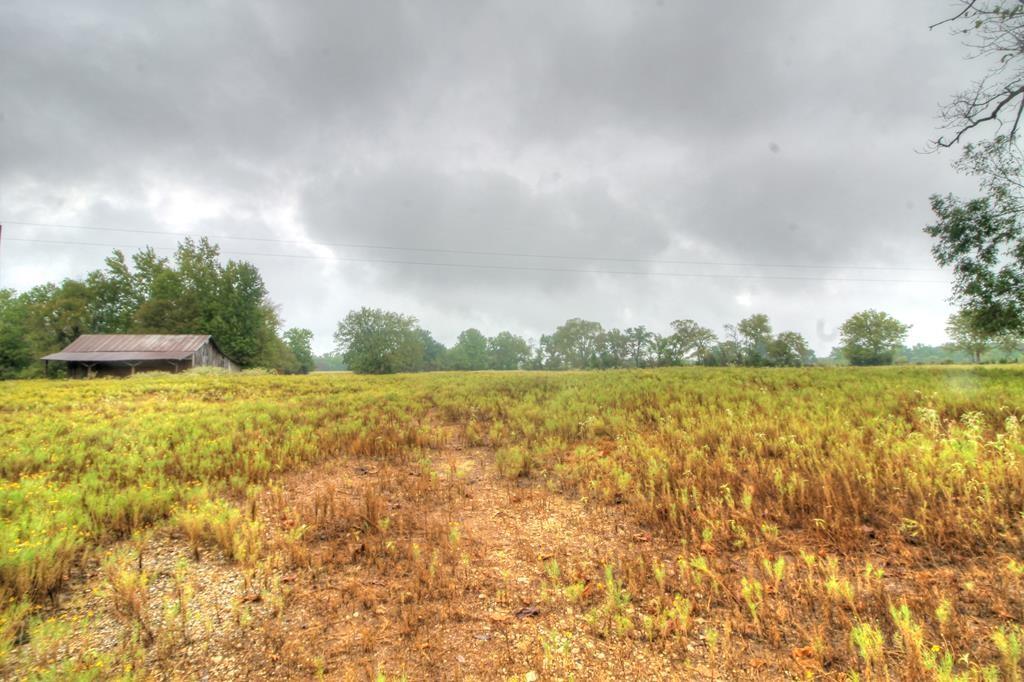 TBD Fm 1911  , Alto, Texas image 11