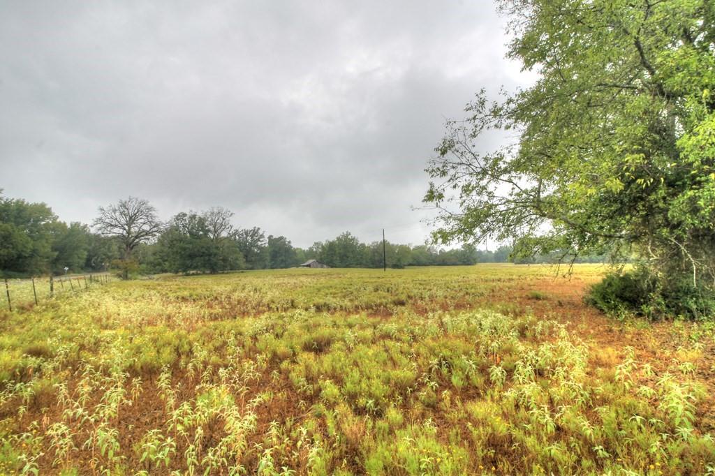 TBD Fm 1911  , Alto, Texas image 5